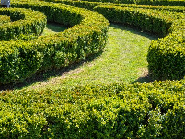 Bush Landscaping in Palmetto