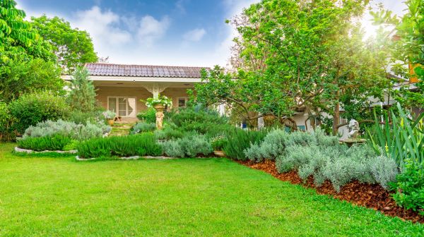 Greenery Planting in Palmetto