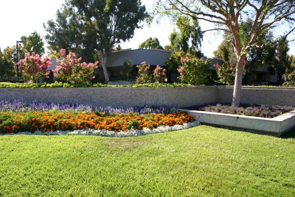 Commercial Landscape Service in Palmetto