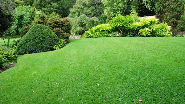 Commercial Landscape Design in Palmetto