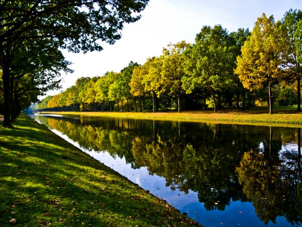 Bank Landscaping in Palmetto