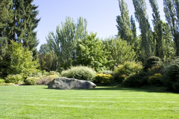 Yard Enlargement in Palmetto