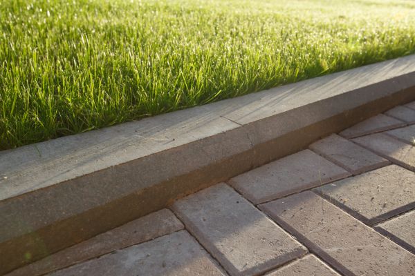 Lawn Edging Replacement in Palmetto