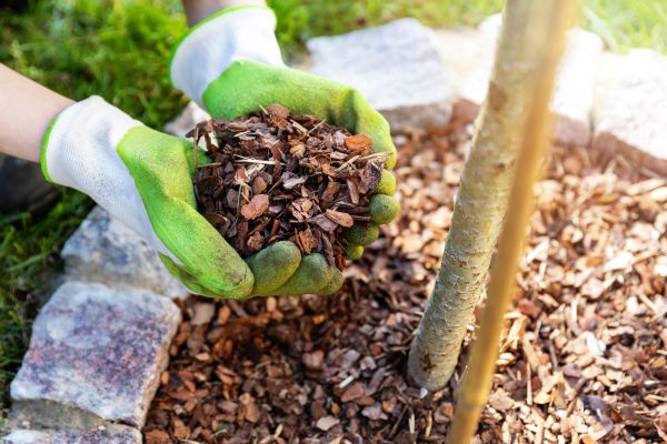 Tree Bark Delivery in Palmetto