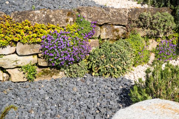 Landscaping Rocks Installation in Palmetto
