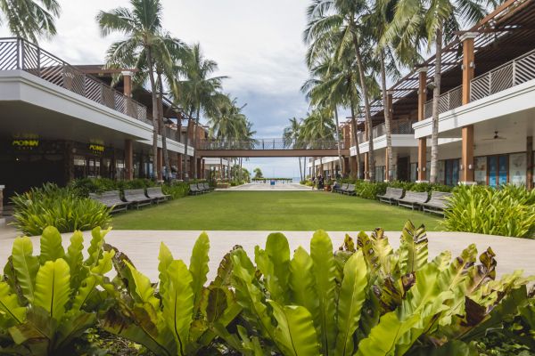 Commercial Lawn Renovation in Palmetto