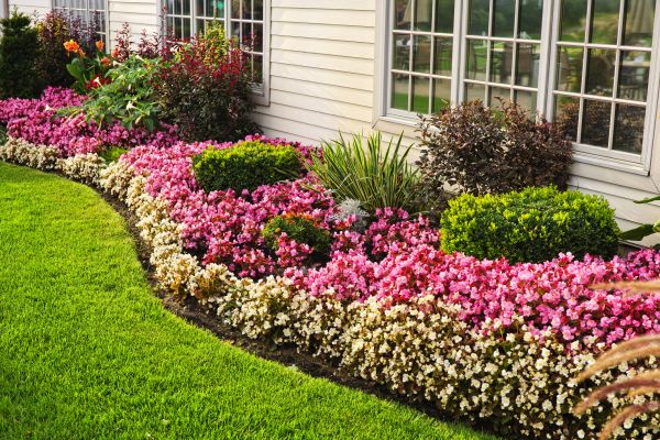 Garden Landscape Design in Palmetto