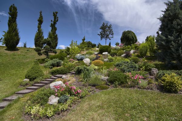 Steep Terrain Landscaping in Palmetto