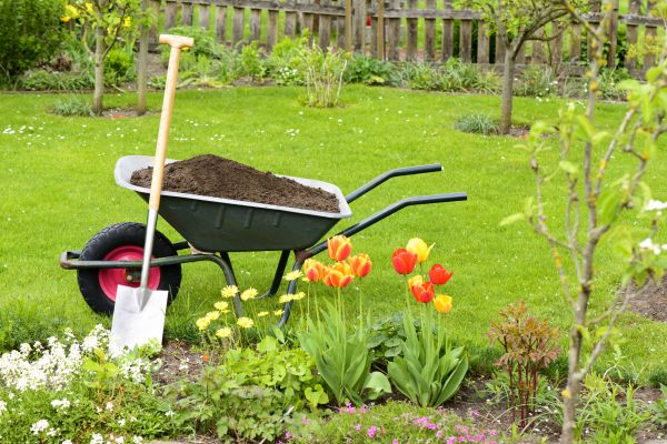 Spring Yard Renovation in Palmetto