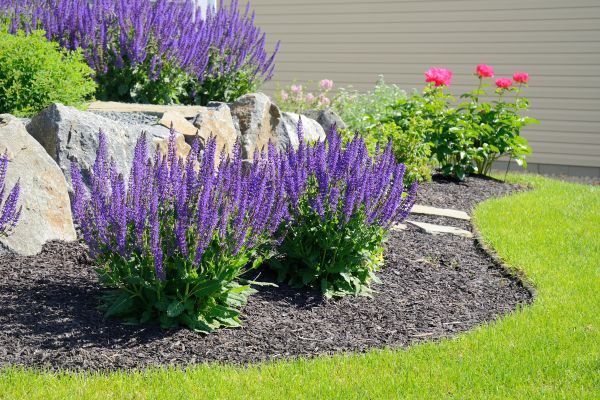 Landscape Planting Service in Palmetto