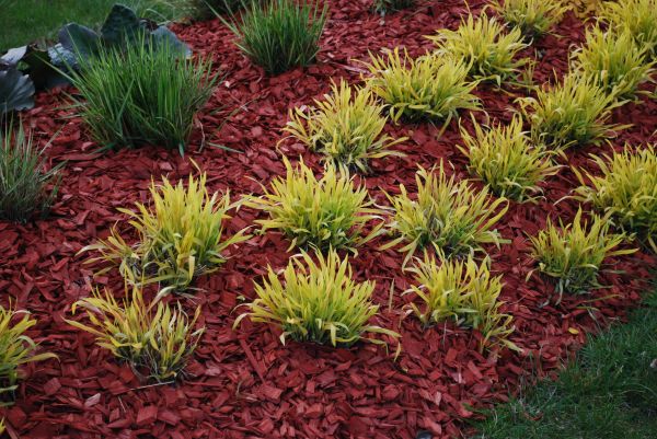 Red Mulch Installation in Palmetto