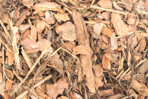 Bark Mulch Installation in Palmetto