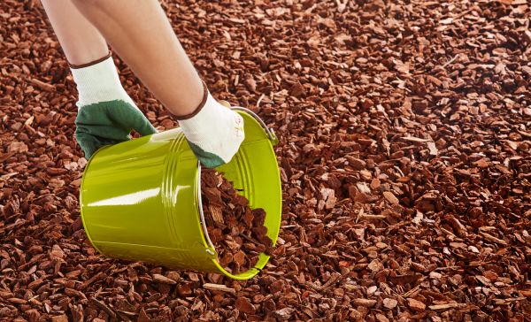 Wood Chip Landscaping in Palmetto