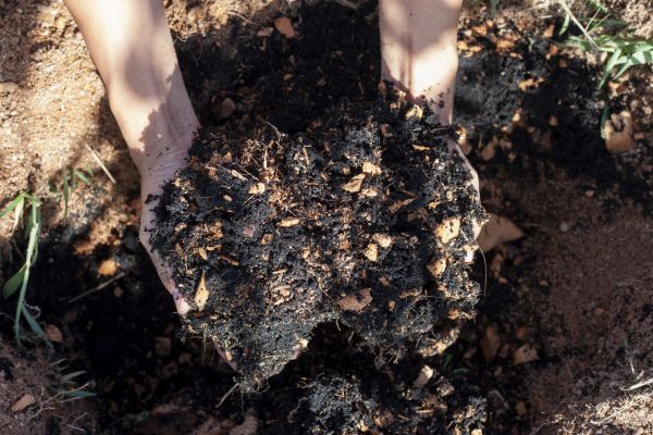 Organic Mulch Installation in Palmetto