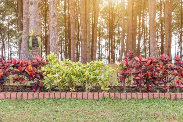 Small Garden Landscaping in Palmetto