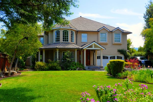 Large Yard Landscaping in Palmetto