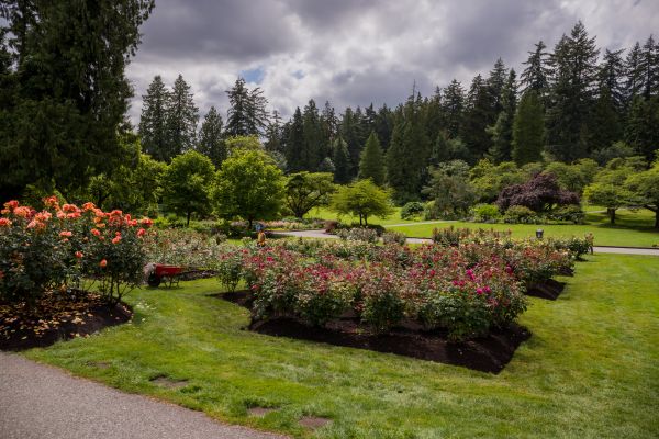 Flower Garden Landscaping in Palmetto