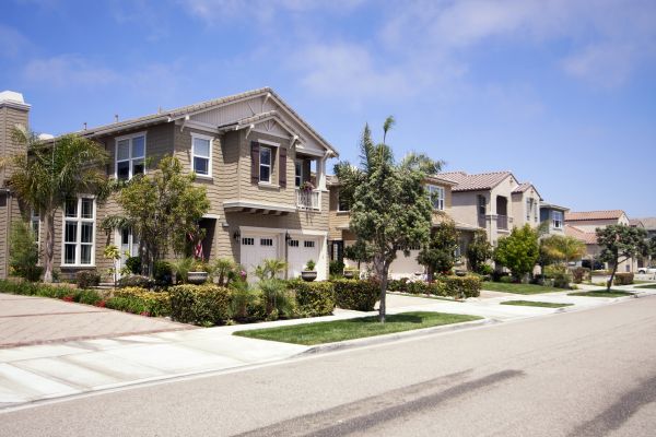 Neighborhood Landscaping in Palmetto