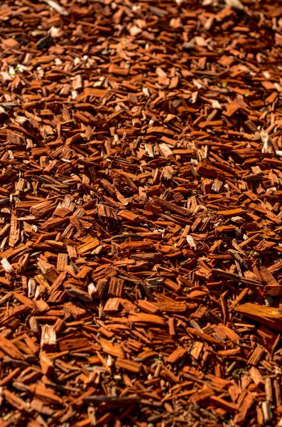 Cedar Mulch Spreading in Palmetto