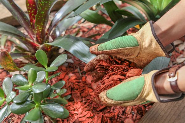 Residential Mulching in Palmetto