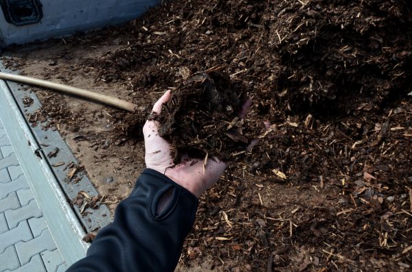 Condo Mulching in Palmetto
