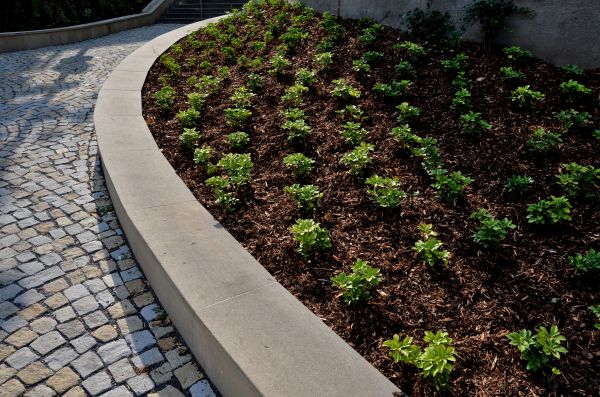 Commercial Mulching in Palmetto