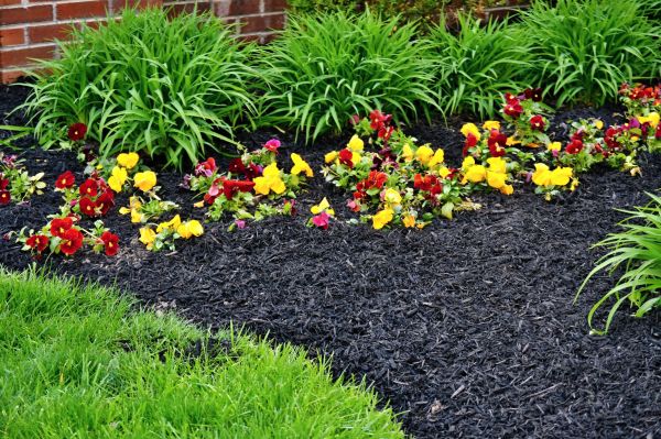 Apartment Mulching in Palmetto