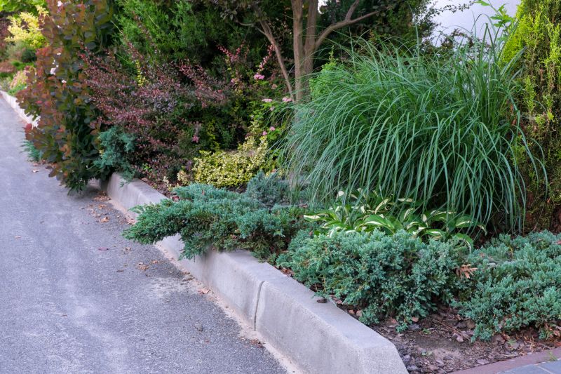 Landscaping Curb Installation