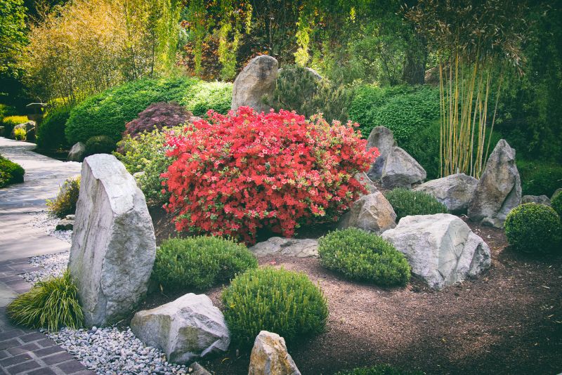 Rock Landscape Design